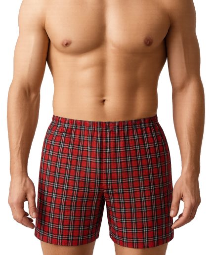Big Man's Woven Boxer (Broadcloth, 2-pack)